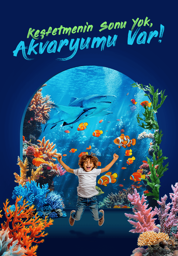 İstanbul Akvaryum Slider