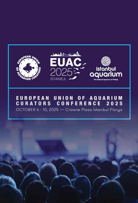 İstanbul Akvaryum Slider