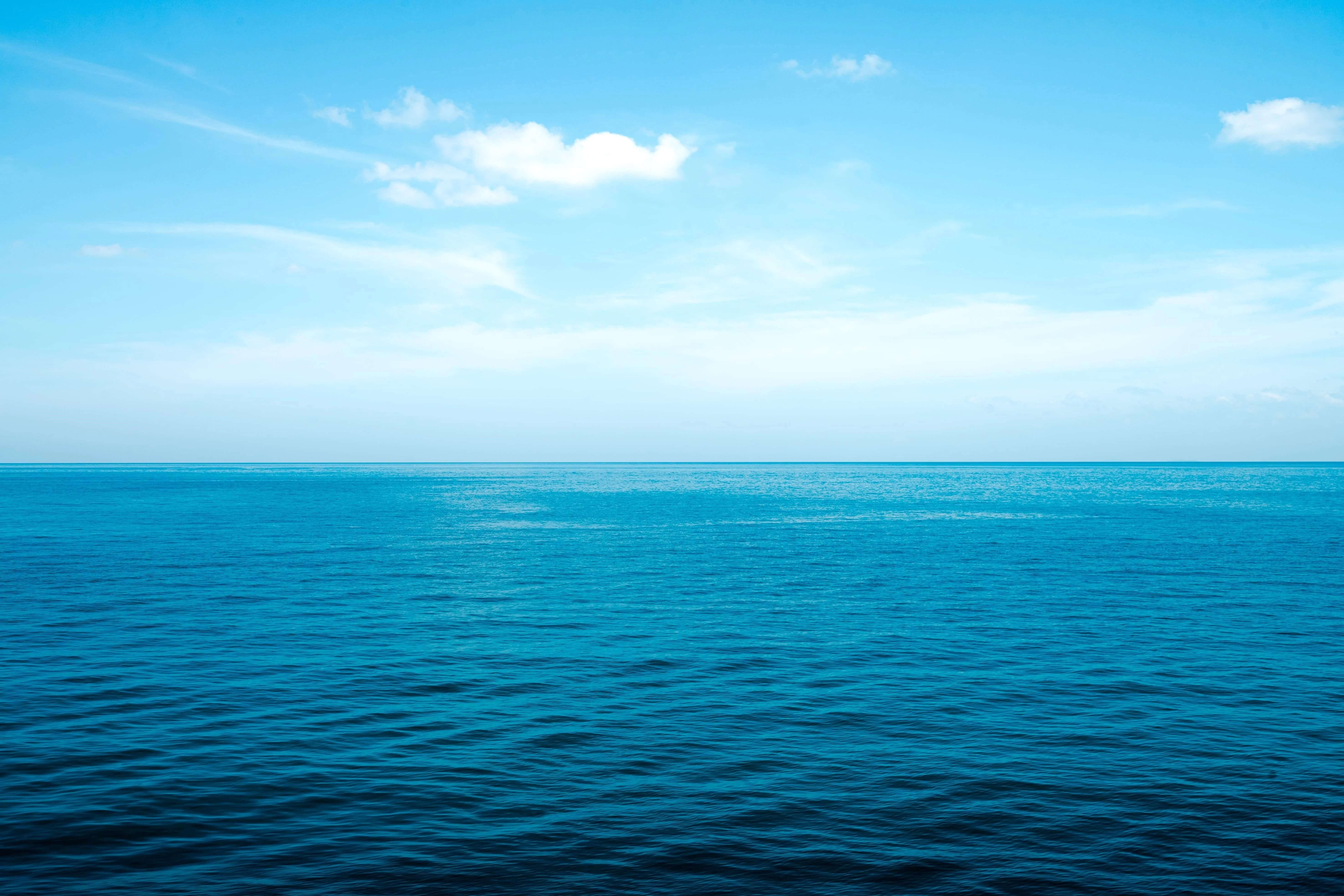 5 Things You Can Do to Protect the Oceans