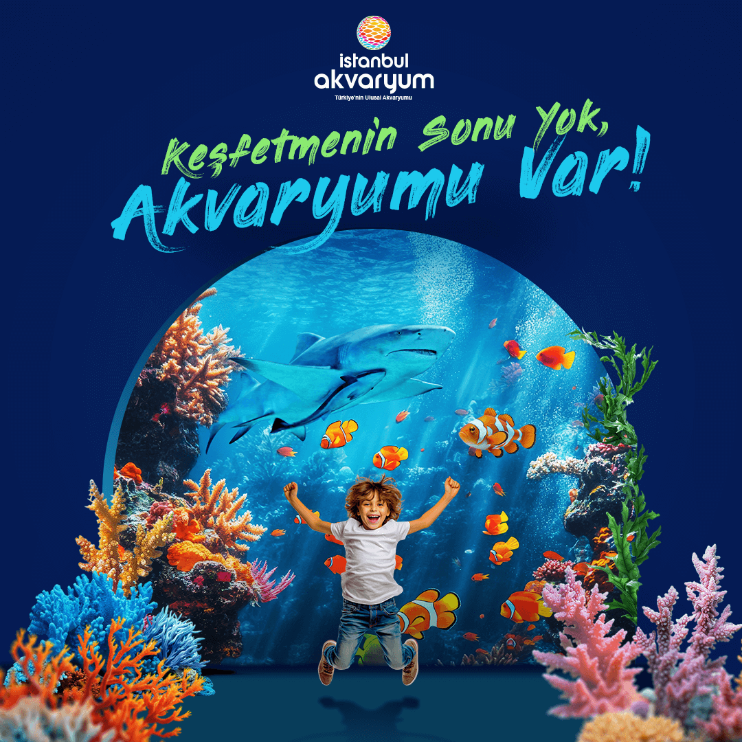 İSTANBUL AKVARYUM’DAN SÖMESTİRE ÖZEL ETKİNLİKLER<span class="fs-16 op-05 rows flex-m flex-columng-10"><span class="material-symbols-rounded mb-1"> calendar_month </span>  16.01.2025</span>_1