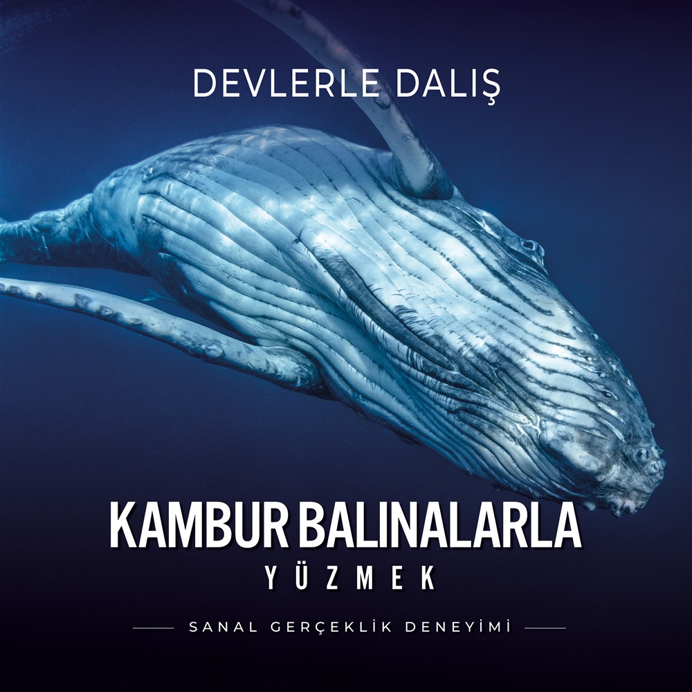 devlerle dalış